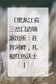 黑龙江省三岔口边境派出所：在界河畔，扎根红色沃土