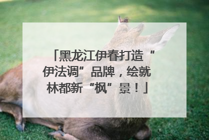 黑龙江伊春打造“伊法调”品牌，绘就林都新“枫”景！