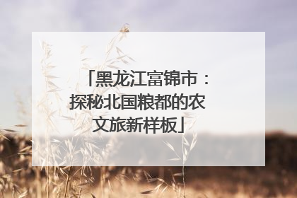 黑龙江富锦市：探秘北国粮都的农文旅新样板