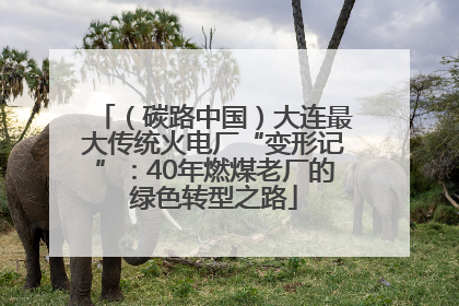 （碳路中国）大连最大传统火电厂“变形记”：40年燃煤老厂的绿色转型之路