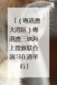（粤港澳大湾区）粤港澳三地海上搜救联合演习在港举行