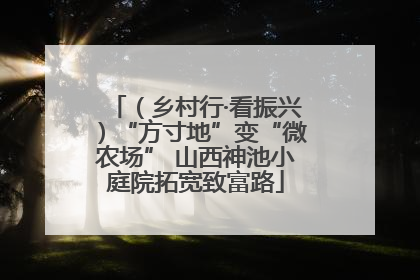 （乡村行·看振兴）“方寸地”变“微农场” 山西神池小庭院拓宽致富路