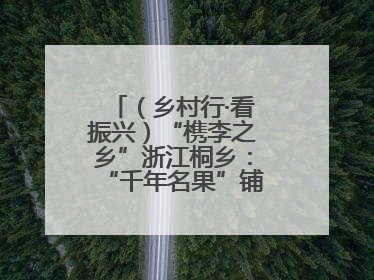 （乡村行·看振兴）“槜李之乡”浙江桐乡：“千年名果”铺就乡村共富路