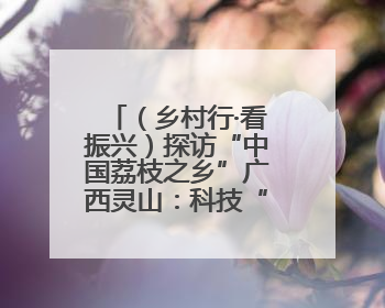 （乡村行·看振兴）探访“中国荔枝之乡”广西灵山：科技“鲜”行 实“荔”C位