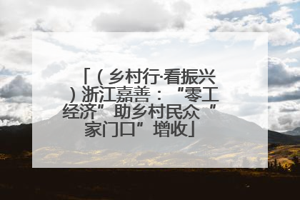 （乡村行·看振兴）浙江嘉善：“零工经济”助乡村民众“家门口”增收