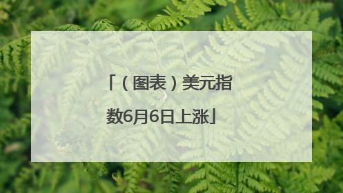（图表）美元指数6月6日上涨