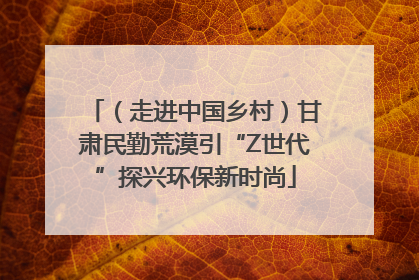 （走进中国乡村）甘肃民勤荒漠引“Z世代”探兴环保新时尚