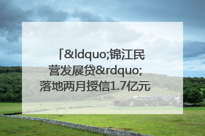 “锦江民营发展贷”落地两月授信1.7亿元，惠及118家民企