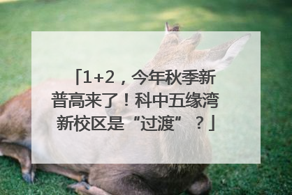 1+2，今年秋季新普高来了！科中五缘湾新校区是“过渡”？