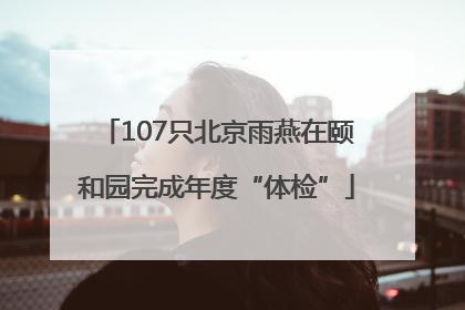 107只北京雨燕在颐和园完成年度“体检”