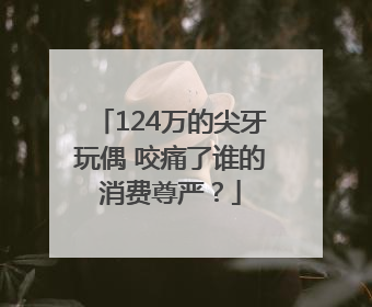 124万的尖牙玩偶 咬痛了谁的消费尊严？