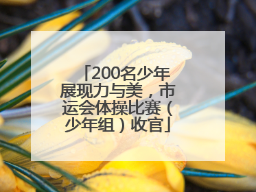 200名少年展现力与美，市运会体操比赛（少年组）收官