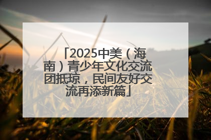 2025中美（海南）青少年文化交流团抵琼，民间友好交流再添新篇