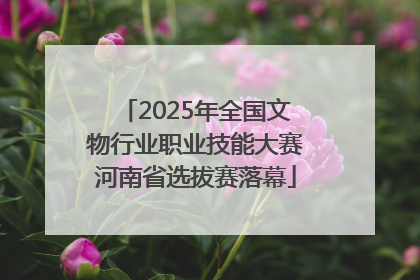 2025年全国文物行业职业技能大赛河南省选拔赛落幕
