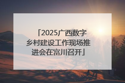 2025广西数字乡村建设工作现场推进会在富川召开