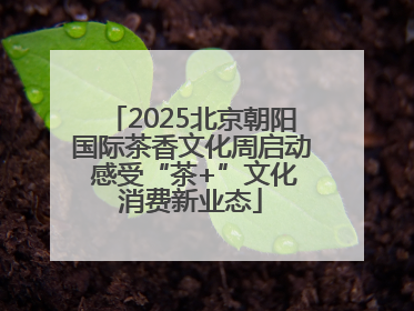 2025北京朝阳国际茶香文化周启动 感受“茶+”文化消费新业态