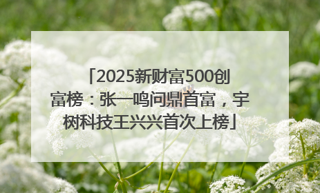 2025新财富500创富榜：张一鸣问鼎首富，宇树科技王兴兴首次上榜