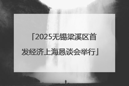 2025无锡梁溪区首发经济上海恳谈会举行