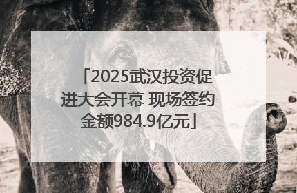 2025武汉投资促进大会开幕 现场签约金额984.9亿元