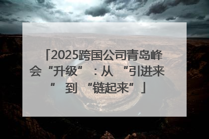 2025跨国公司青岛峰会“升级”：从 “引进来” 到 “链起来”