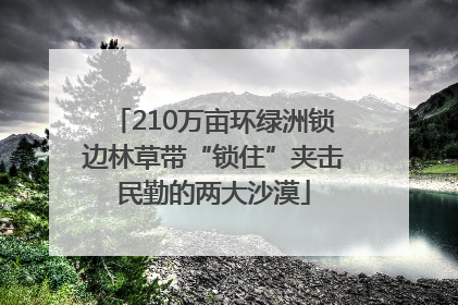 210万亩环绿洲锁边林草带“锁住”夹击民勤的两大沙漠