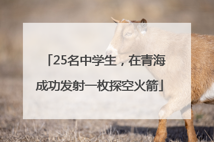 25名中学生，在青海成功发射一枚探空火箭