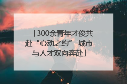 300余青年才俊共赴“心动之约” 城市与人才双向奔赴