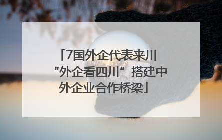 7国外企代表来川 “外企看四川”搭建中外企业合作桥梁