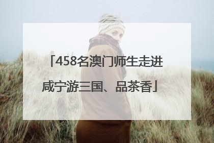 458名澳门师生走进咸宁游三国、品茶香