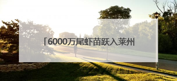 6000万尾虾苗跃入莱州湾 潍坊滨海区启动2025年水生生物增殖放流工作