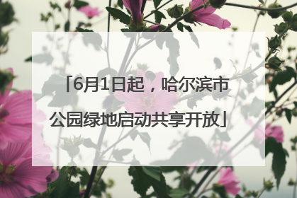 6月1日起，哈尔滨市公园绿地启动共享开放
