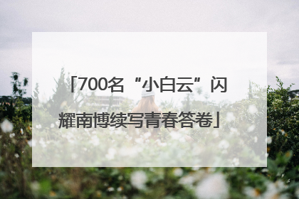 700名“小白云”闪耀南博续写青春答卷