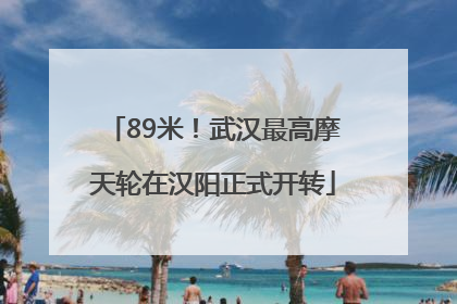 89米！武汉最高摩天轮在汉阳正式开转