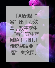 AI配煤“省”出千万效益，数字孪生“看”穿生产风险！宁阳县传统制造业“智”变突围