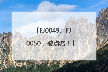 FJ0049、FJ0050，被点名！