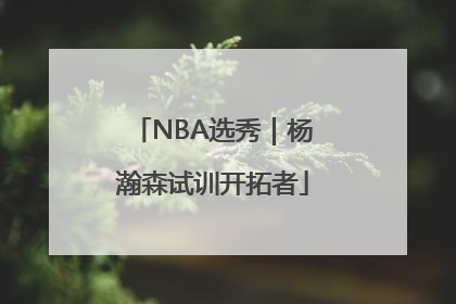 NBA选秀｜杨瀚森试训开拓者