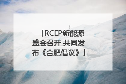 RCEP新能源盛会召开 共同发布《合肥倡议》