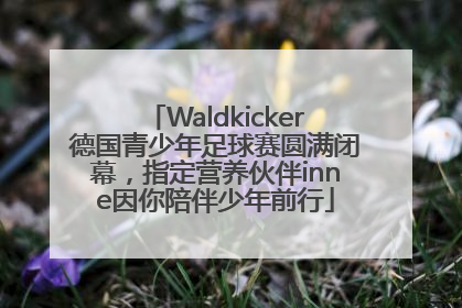 Waldkicker德国青少年足球赛圆满闭幕，指定营养伙伴inne因你陪伴少年前行
