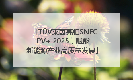TÜV莱茵亮相SNEC PV+ 2025，赋能新能源产业高质量发展
