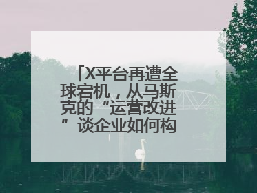 X平台再遭全球宕机，从马斯克的“运营改进”谈企业如何构建“永不停机”的数字护城河