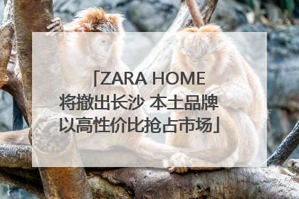 ZARA HOME将撤出长沙 本土品牌以高性价比抢占市场